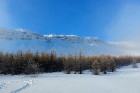 Akureyri Snowshoeing with The Traveling Viking