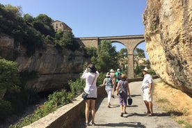 Excursion privée d'une journée: Lastours, dégustation de vins, Minerve, Canal du Midi depuis Carcassonne