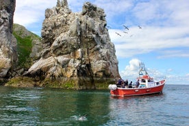 Bátferð meðfram ströndum Howth (Írlandsauga ferjur 50 mínútna ferð)