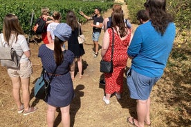 Visite guidée d'un joli vignoble et cave Dégustation de 6 vins et tapas