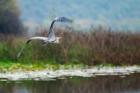 7-Hours Private Guided Wine and Gastro Tour in Skadar Lake