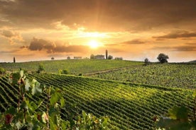 Provas de vinho e queijo Costa Sul da ToscanaExcursão do Porto de Civitavecchia