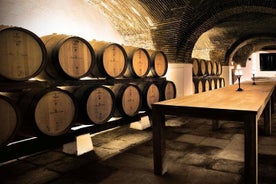 Private Tour Full Day in Évora with wine tasting: in Mercedes