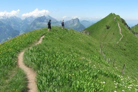 卢塞恩出发峰顶私人徒步旅行