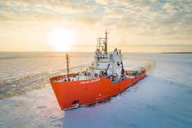 Rovaniemi: Icebreaker Cruise with Lunch and Ice Floating