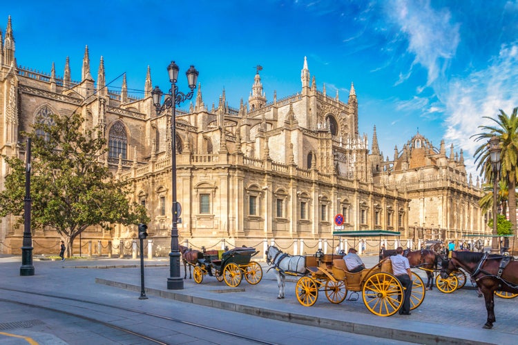 Photo of beautiful Sevilla and horses in the background. 