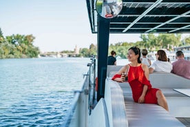 Seville: 1-Hour Guadalquivir River Sightseeing Eco Cruise