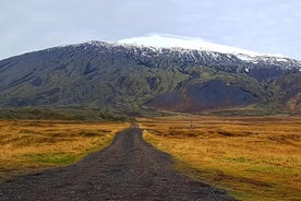 Snaefellsnes Peninsula Private Day Tour - up to 9 passengers