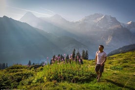 Lauterbrunnen Waterfalls & Mountain View Trail Private Hiking Tour from Lucerne