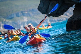 Half-Day Kayak Tour in Sesimbra