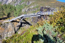 Eidfjord: Tour to Voringsfossen Waterfalls