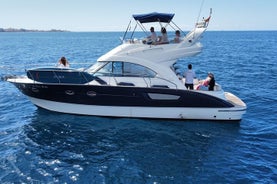 Bateau à moteur de luxe privé 2, 3 et 4 heures Charters