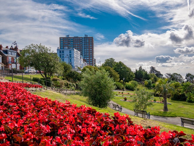 Photo of beautiful red flowers on the seaside of Southend on Sea in a sunny day, England.