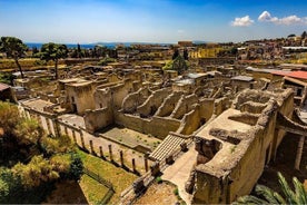 Omvisning i Herculaneum med lunsj og inngang inkludert