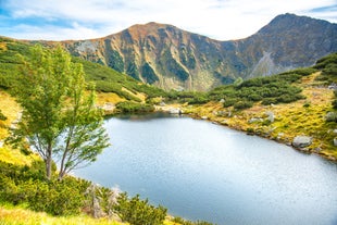 Roháčske lakes