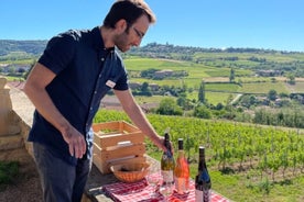 Gyldne sten Beaujolais vintur med smagninger fra Lyon