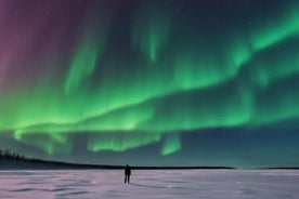 Northern Lights Experience