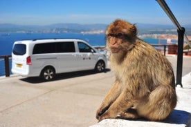 Gibraltar: Einkarekin hápunktarferð með aðgangsmiðum