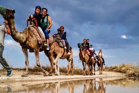 2 Hours of Camel Safari in Cappadocia 