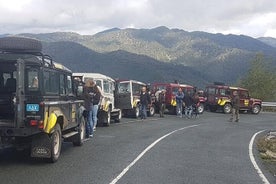 Jeep Safari sui monti Troodos: natura, villaggi e vino blu