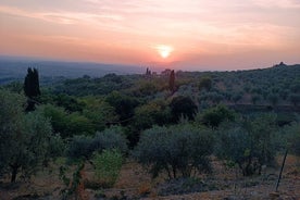 PRIVATE TOUR: oil production, Leonardo's house, tasting