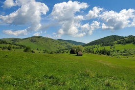 Nature trip to the high plains of Sesul Craiului