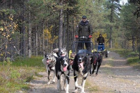 Syksyinen Husky Sit and Drive Kärrykierros Kiirunasta