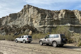 From Almeria: 4x4 tour of the Tavern Desert