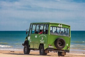 Doñana 4x4 및 El Rocío 투어