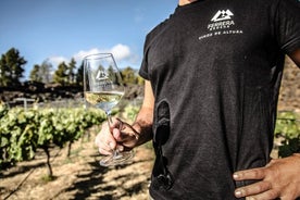 Ecological Vineyard Tour with Wine Tasting