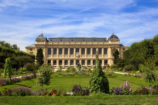 Jardin des plantes