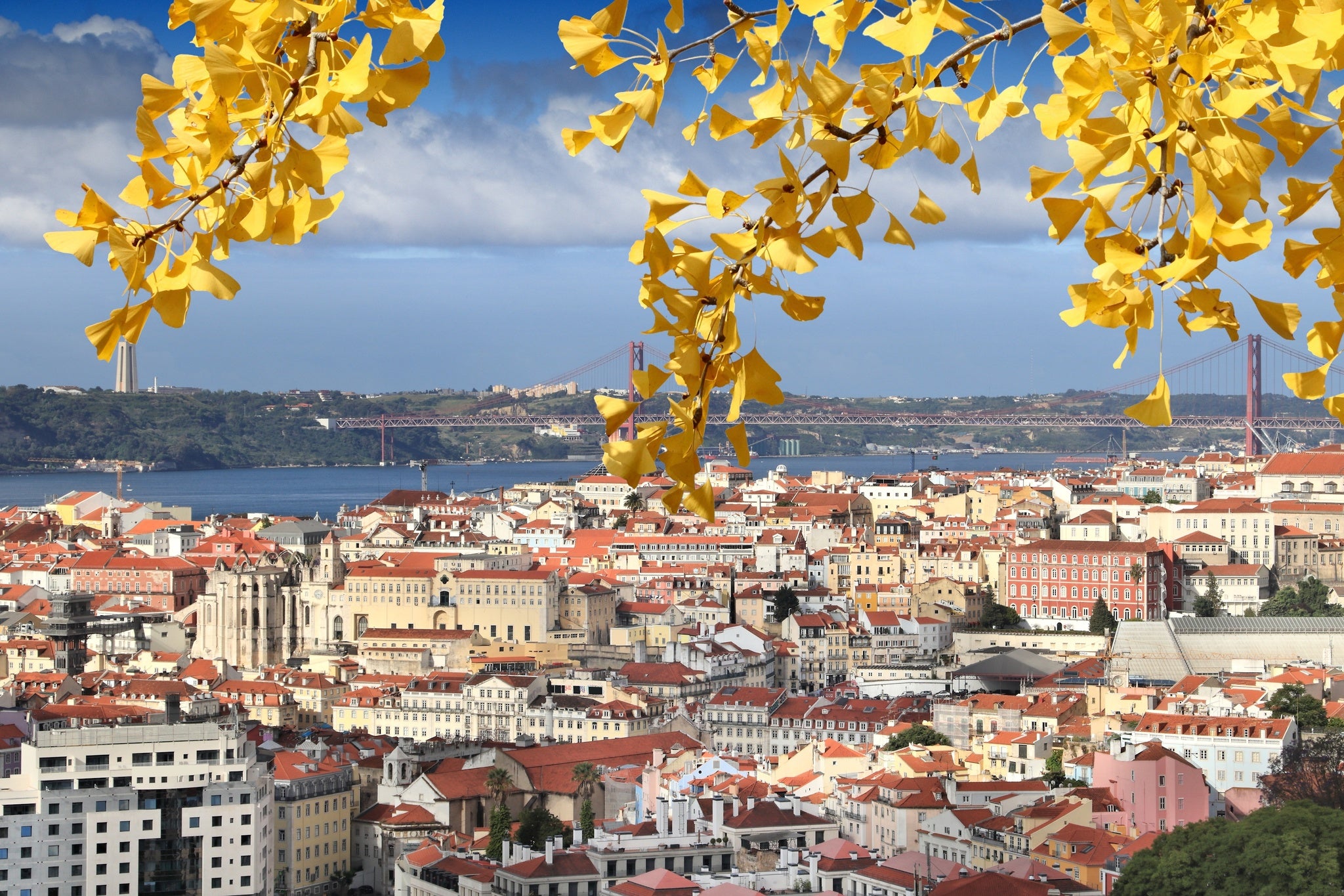 Autumn in Lisbon.jpg