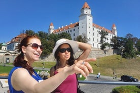 Tour privado por la ciudad y el castillo de Bratislava con minivan