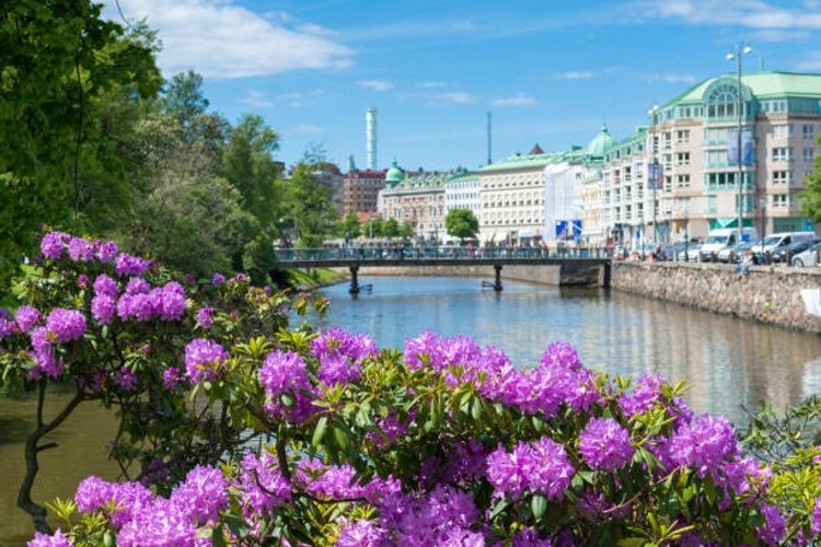 Blooming rhododendrons in the foreground with Gothenburg-s canal in the background, showcasing the vibrant colors of spring.jpg