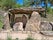 Àrea del dolmen de Sòls de Riu, la Baronia de Rialb, Noguera, Lleida, Catalonia, Spain