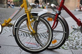 Bologna Panoramic Bike Tour