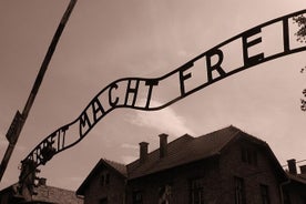 Visita guiada a Auschwitz-Birkenau con traslado desde Cracovia