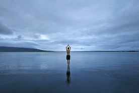 雷克雅未克的Golden Circle和Laugarvatn Fontana地热之旅