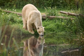 Leewarden: Aðgangsmiði í AquaZoo