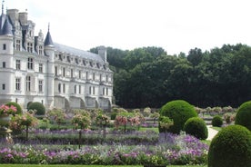 Castillo de Chenonceaux revelado: recorrido a pie exclusivo