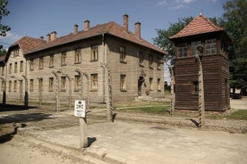 Excursão de um dia em Auschwitz saindo de Varsóvia em carro particular com almoço