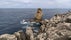 Cape Carvoeiro Viewpoint, São Pedro, Peniche, Leiria, West, Centro, Portugal