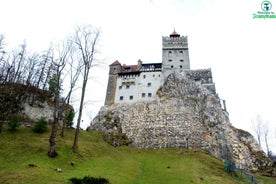 Heimsókn í Bjarnarathvarf og Bran-kastala frá Brasov