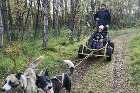 Hundekørsel med hundevogn i Alta-dalen langs den berømte lakseflod