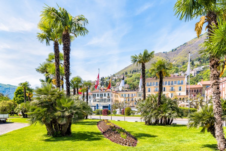 Photo of Green gardens decorated with palm trees and flowers at springtime in the center of Locarno, Ticino, Switzerland.