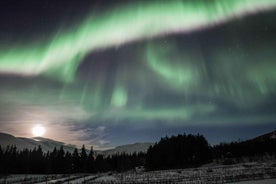 Northern Lights Tour from Akureyri