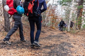 カターニアから: Private mt.エトナ山トレッキングとピクニック