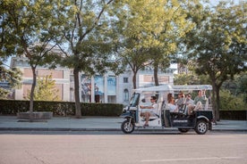 Madrid: Private City Tour by Eco Tuk Tuk