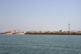 Ilha Deserta og Farol Island: en lille gruppe bådtur i Ria Formosa fra Faro