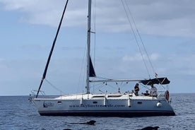 Excursión en velero por la Costa del Sur de Tenerife 3 horas